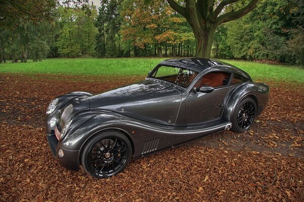 Photo de supercar dans la nature