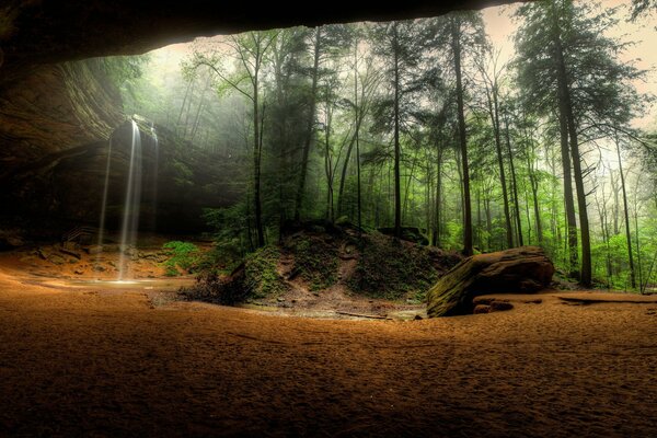 Wald Natur und Wasserfall