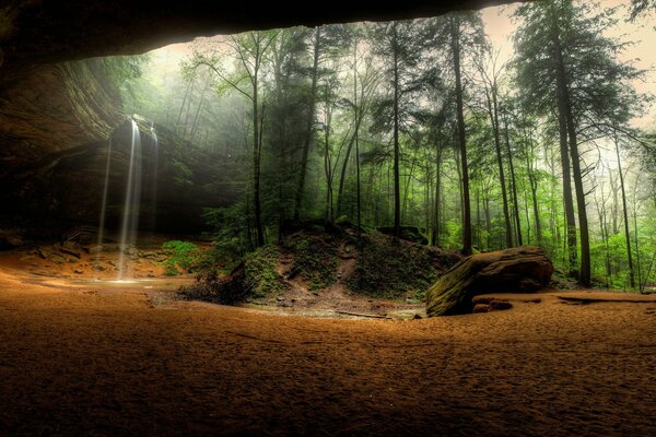 Forêt et cascade