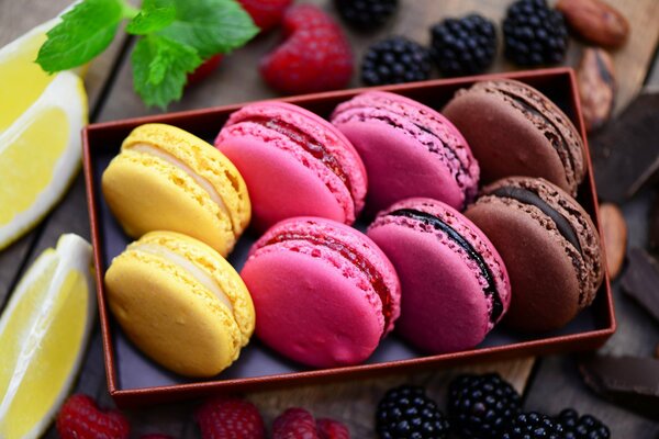 Galletas de macarrones multicolores en Caja