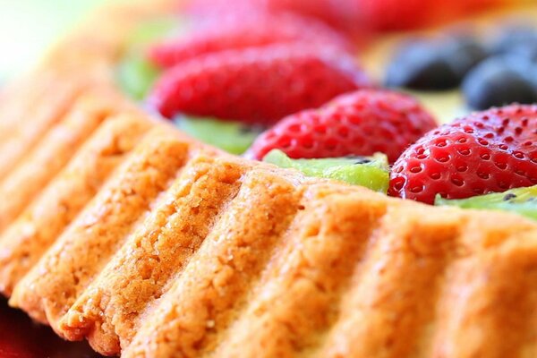 Fragrant cupcake made of berries and kiwi from the Sweet Tooth confectionery 