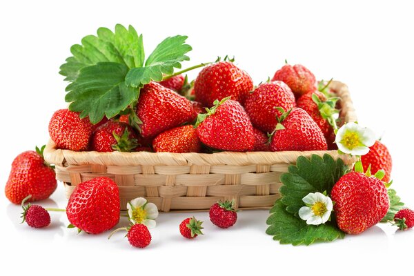 Erdbeeren in einem Korb und Beeren