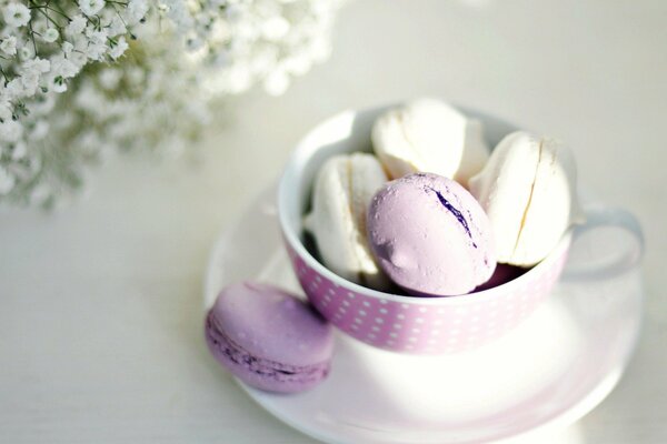 Soucoupe avec tasse. Macaron lilas et blanc