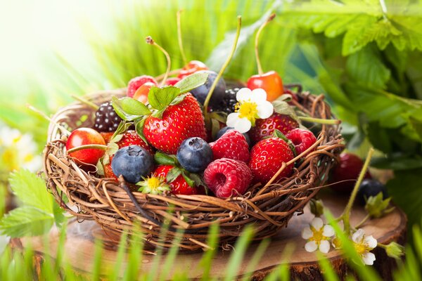 Korb mit Beeren auf einem Hanf, Sommersonne