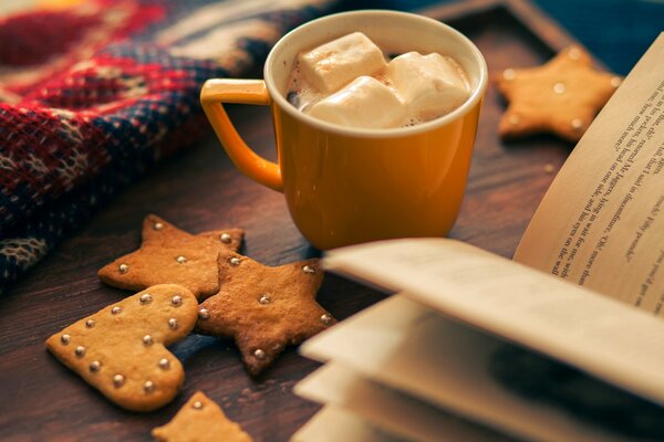 Winter evening. Cup of cocoa with a book