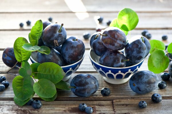 Still life of bowls with blueberries and plums