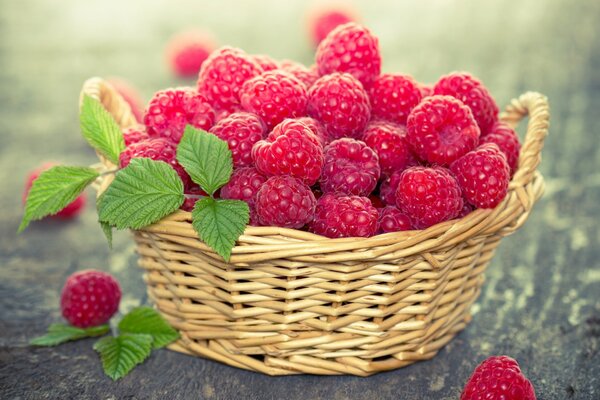 Framboises juteuses à la menthe dans un panier