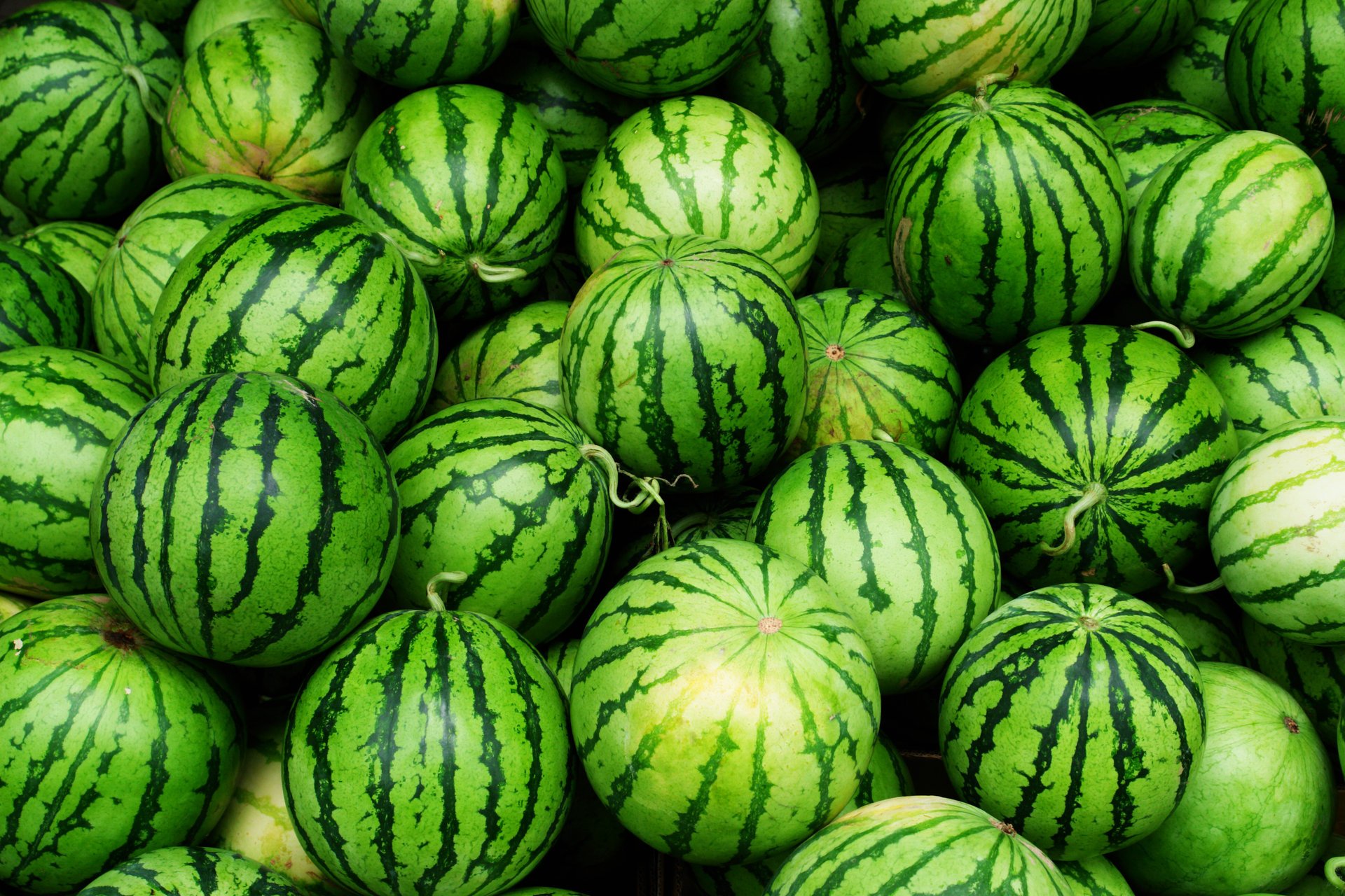 wassermelone grün streifen