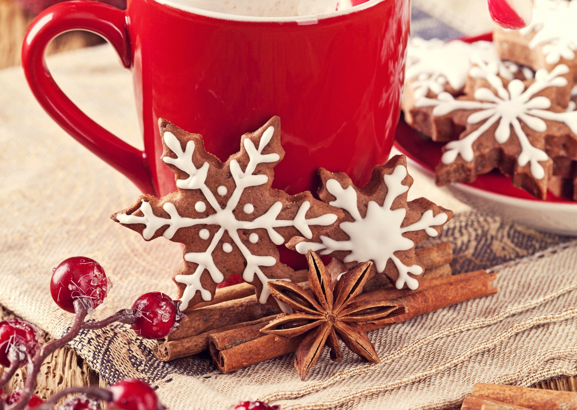 biscuits nouvel an flocons de neige épices cannelle anis badiane pâtisserie bonbons houx baies rouges tasse noël nouvel an