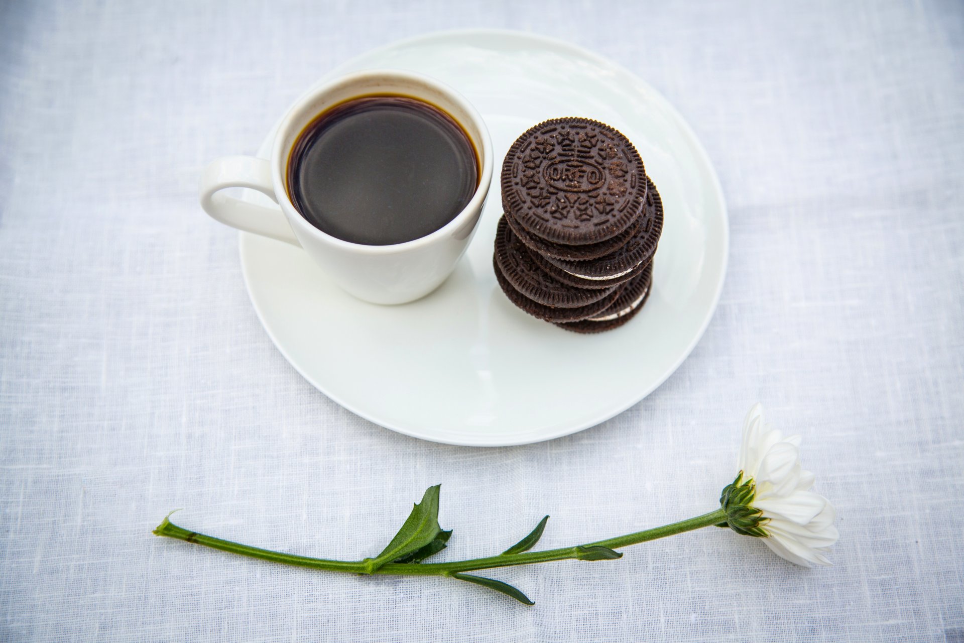 cookies oreo cup coffee saucer daisy flower table