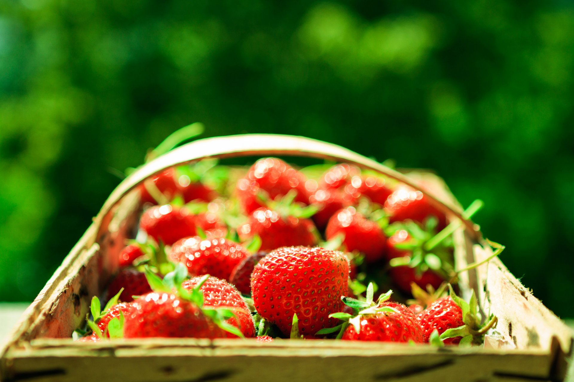 erdbeere korb korb beeren rot makro hintergrund grün