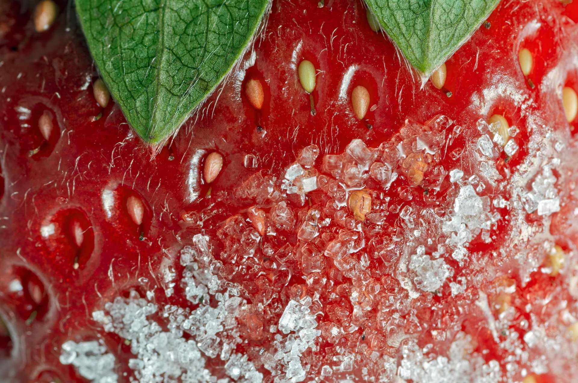 trawberry sugar close up