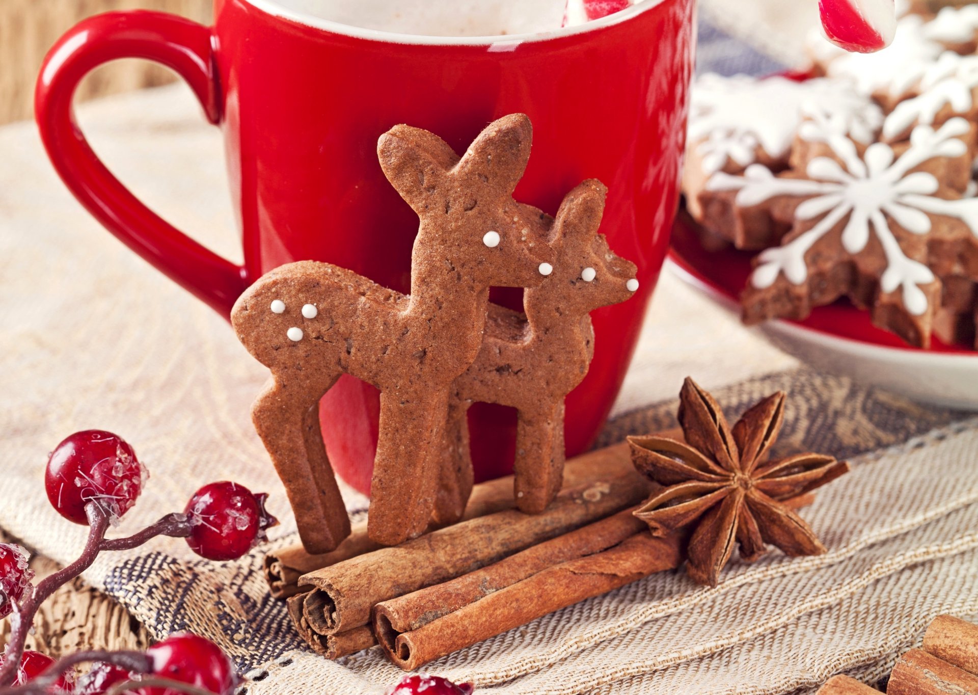 galletas año nuevo ciervos copos de nieve pasteles dulces especias canela anís anís acebo bayas taza rojo navidad año nuevo