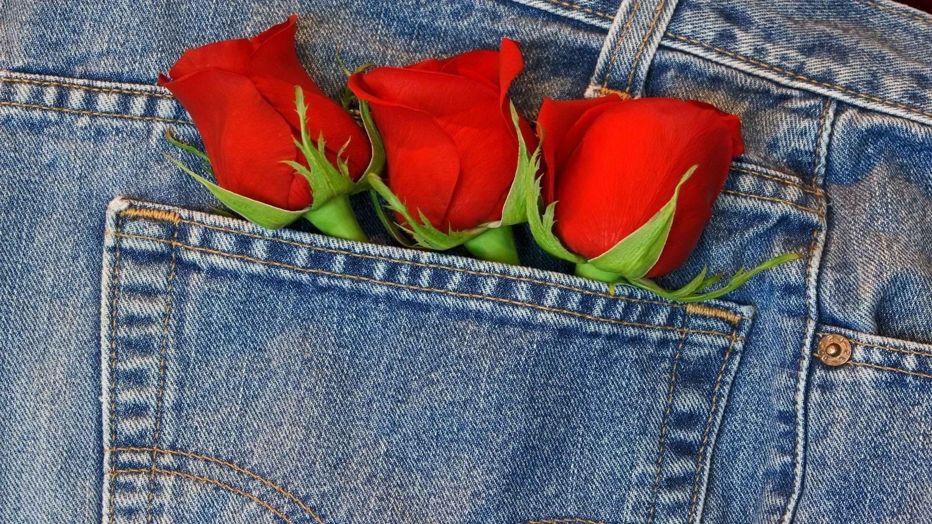 roses jeans pocket