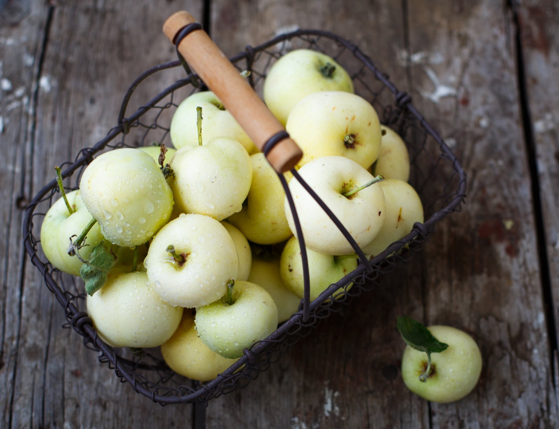 apples fruits shopping vintage autumn julia khusainova