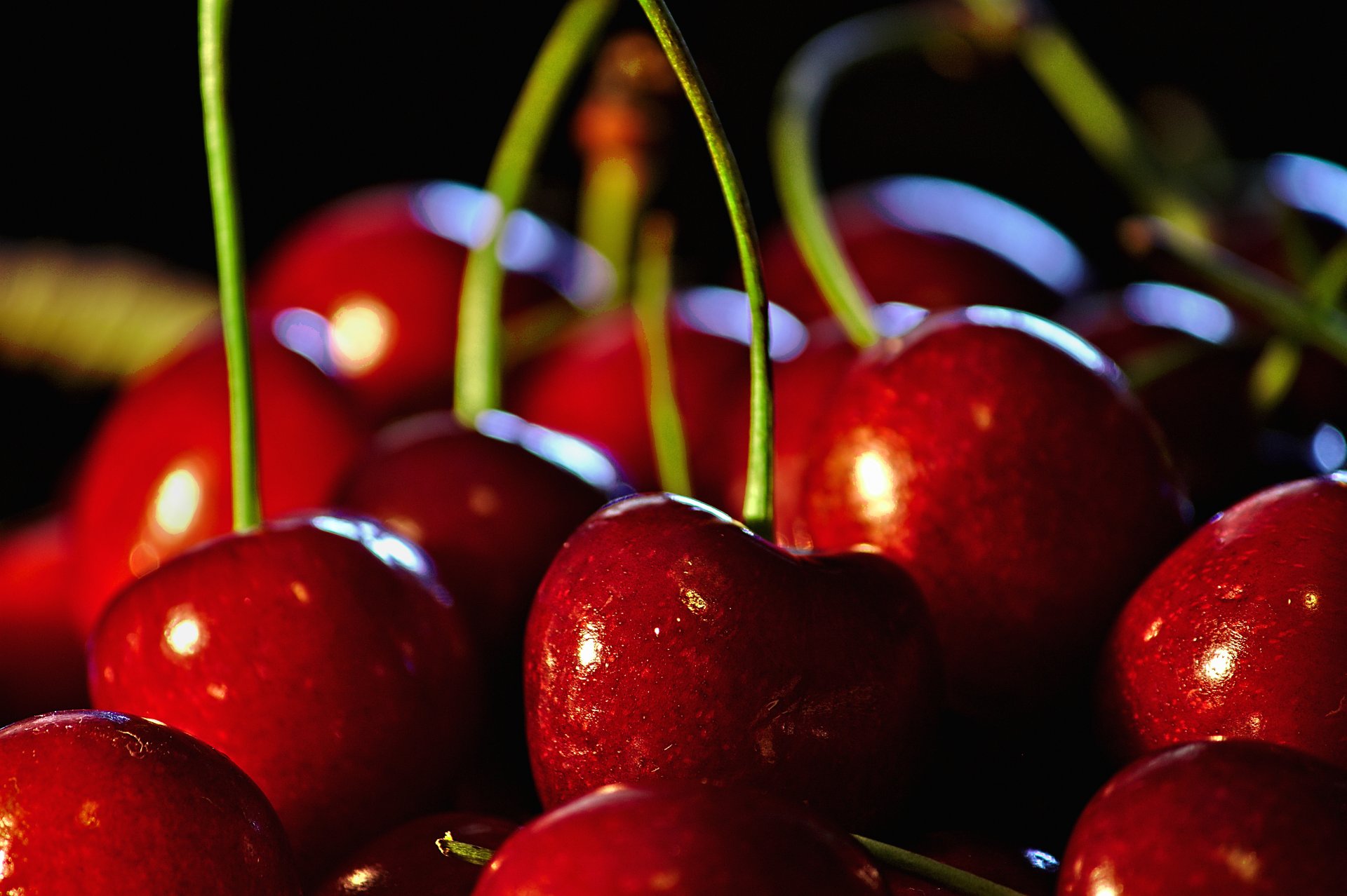 baie cerise rouge tentateur