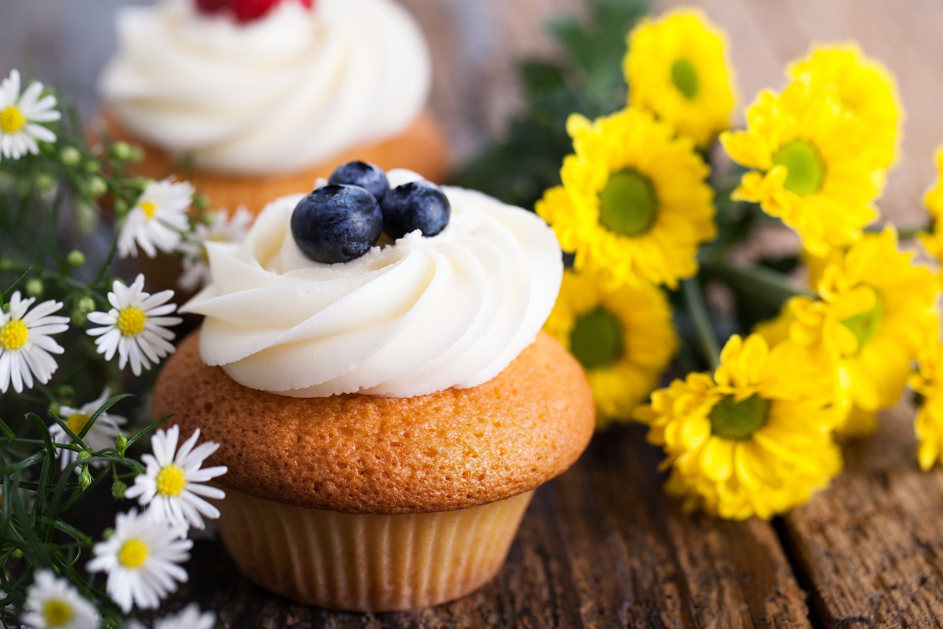 cupcake pasteles postre dulces crema bayas arándanos flores margaritas