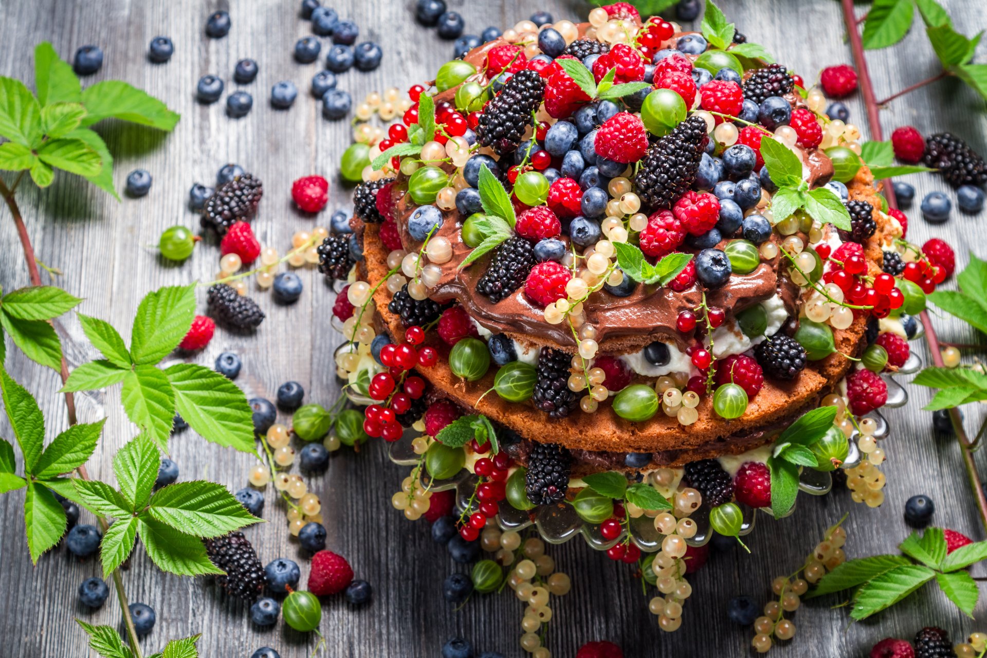 köstliches dessert beerenkuchen minzblätter fruchtkuchen minzblätter