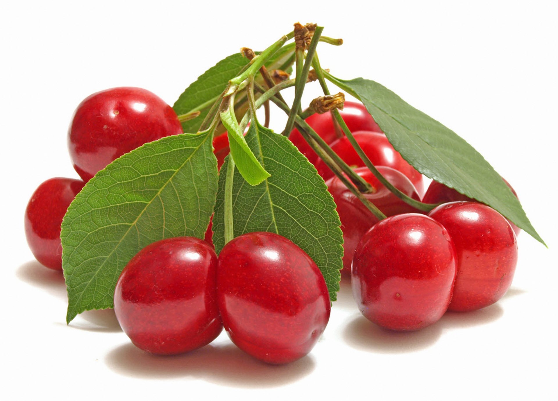 cerises baies rouges