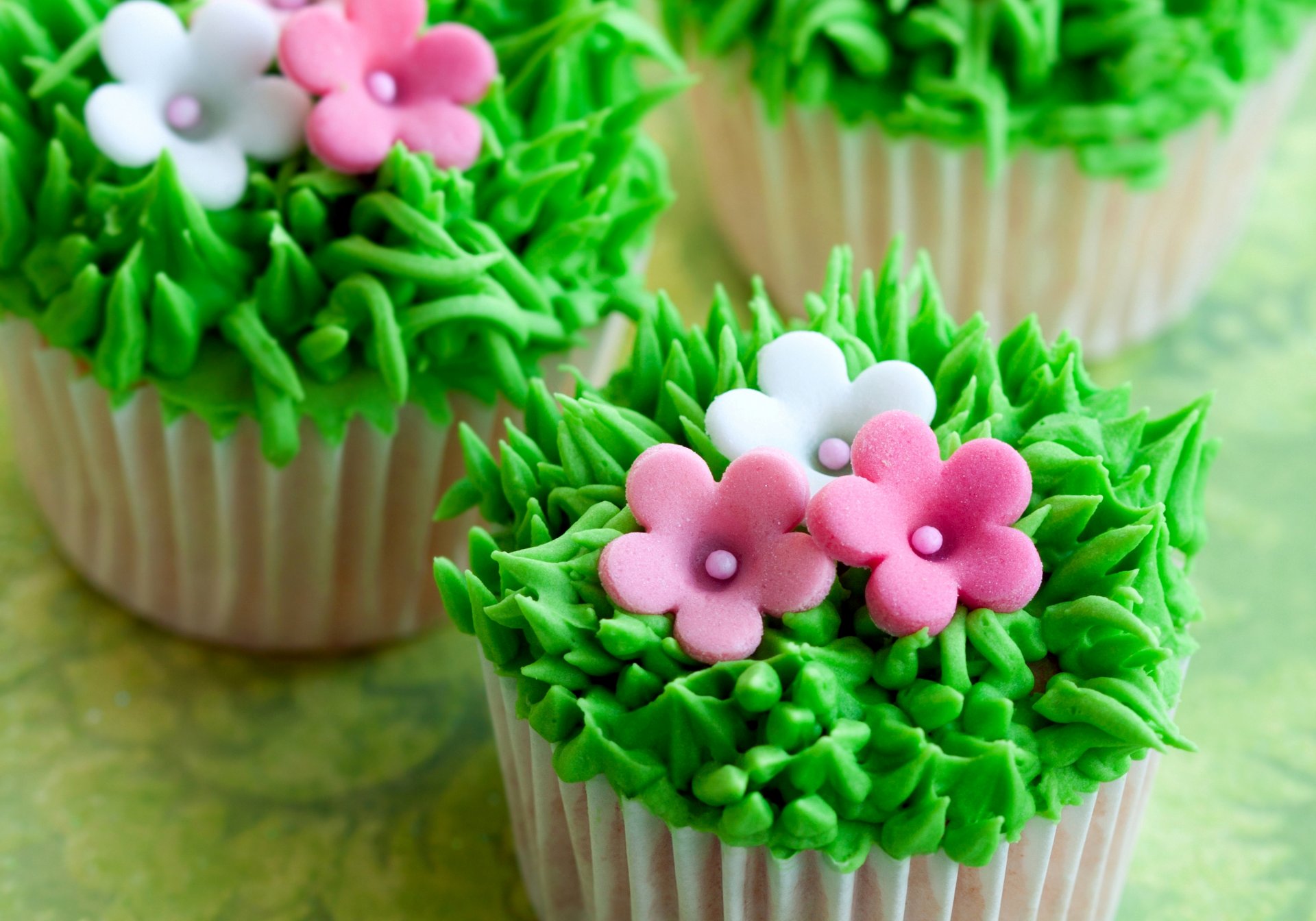 cakes cupcakes cream grass flower sweet dessert