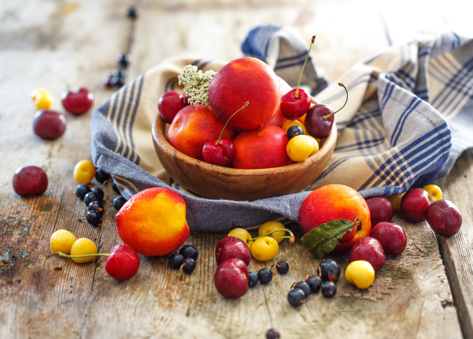 nectarine peaches fruits berries cherry currants dish still life summer julia khusainova