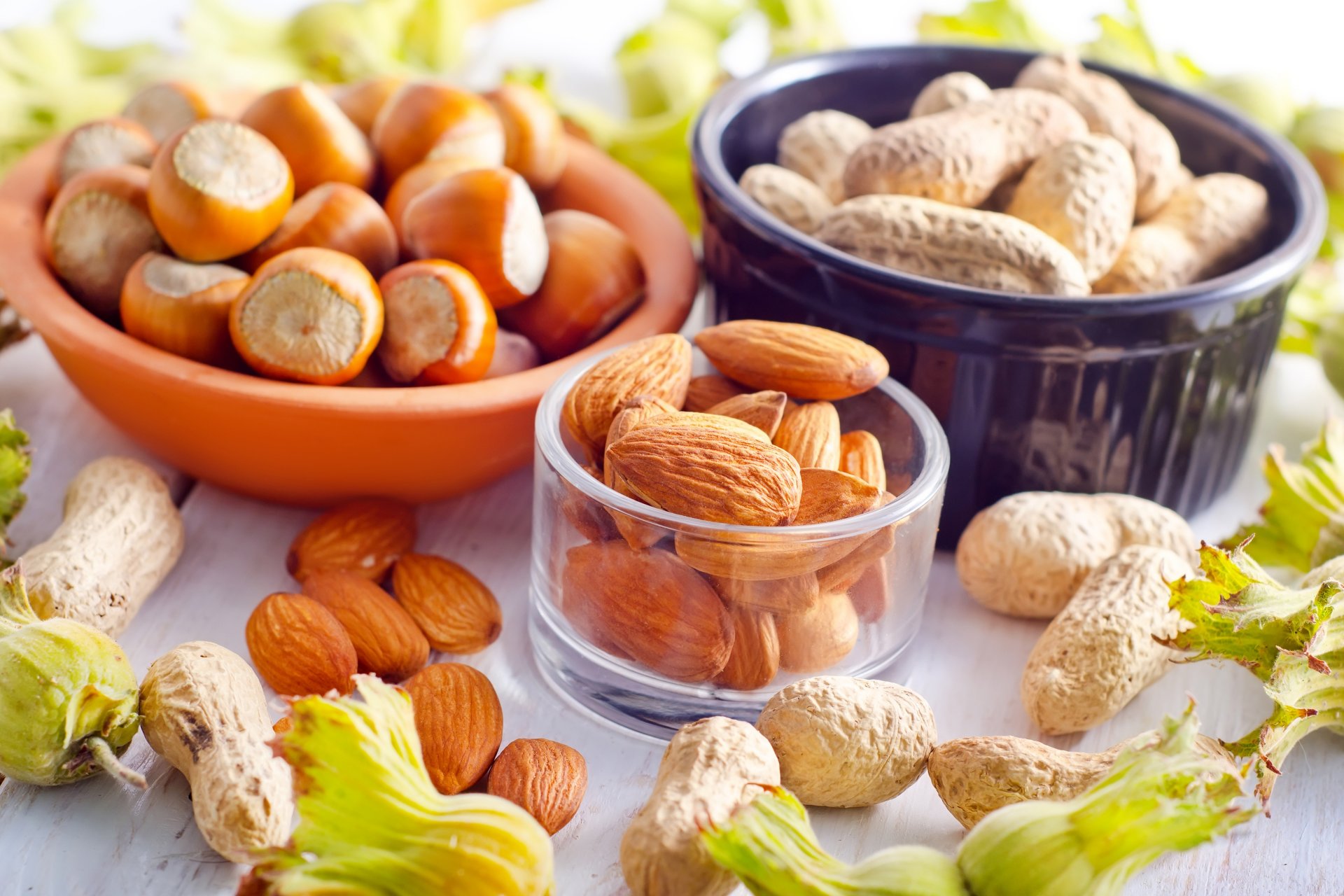 noix forêt noisettes amandes vaisselle