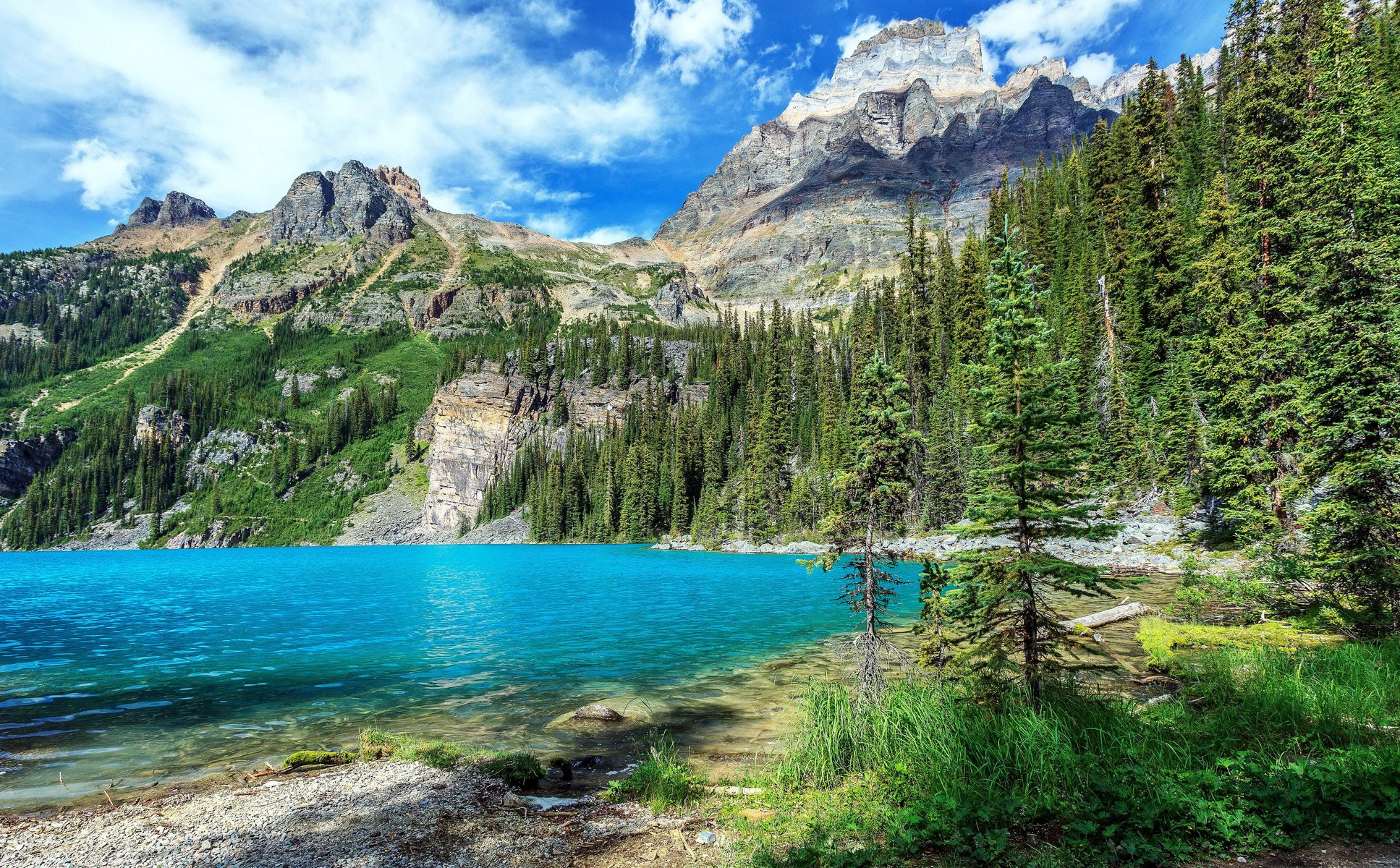 yoho national park kanada park berge see wald landschaft natur