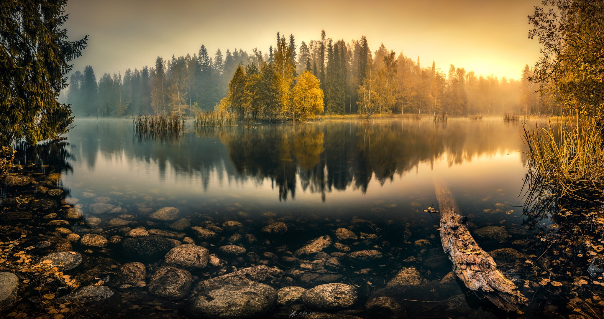 natur teich see herbst schön nebel wald