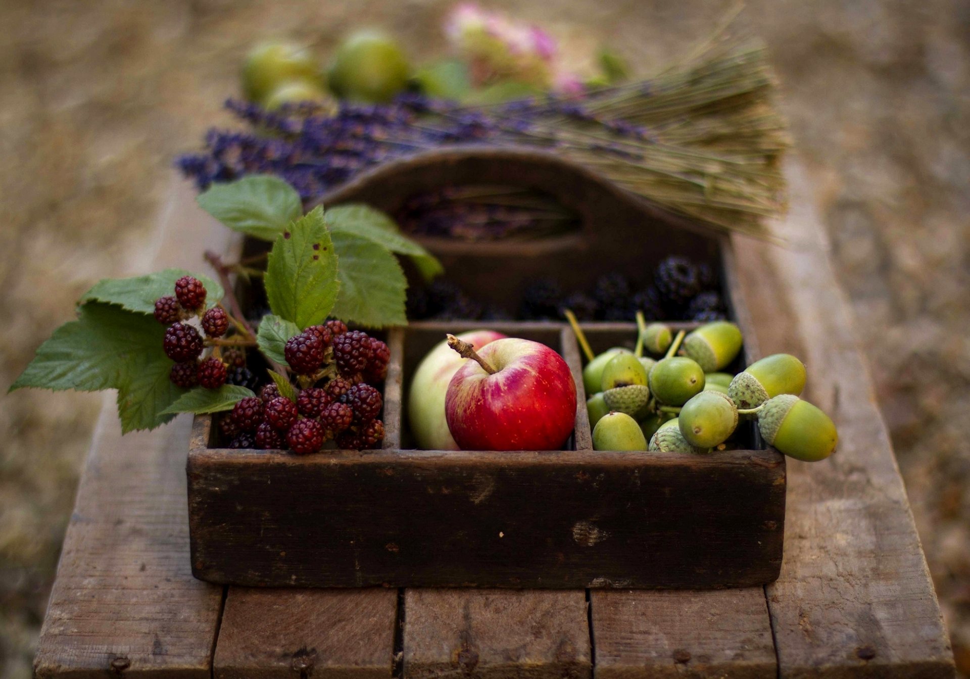 äpfel brombeeren eicheln obst beeren lavendel korb tisch herbst