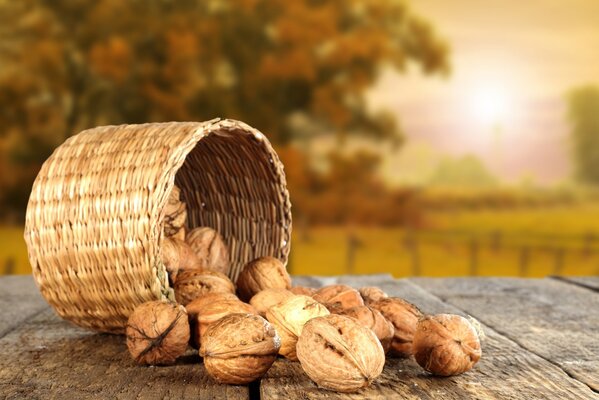 Cebolla con nueces en el fondo de la puesta de sol de otoño