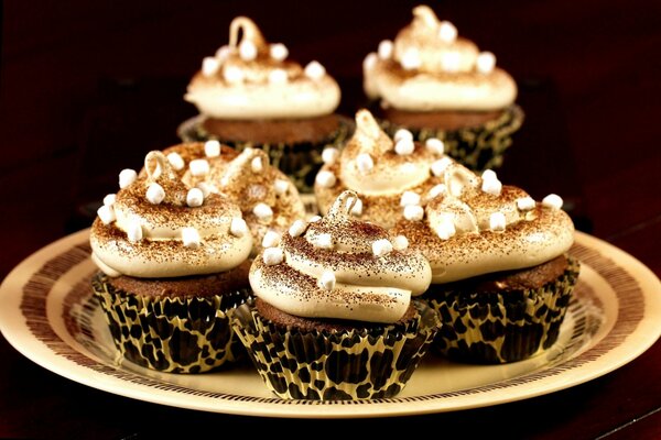 Chocolate cupcakes on a plate with powder