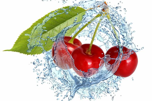 Fresh cherries in drops of water