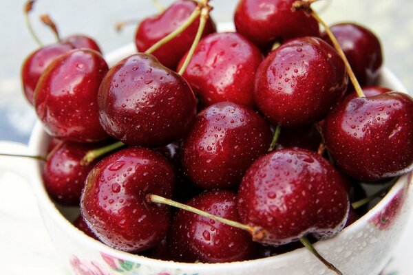 Ripe cherries in a cup on the table