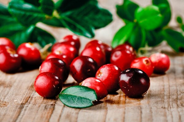 Beautiful red berries on a wooden surface