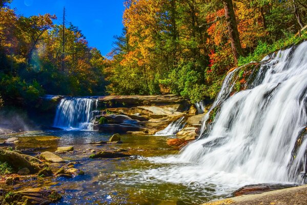 Autumn waterfalls in the yellow forest