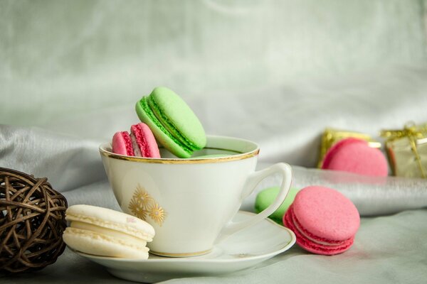 Multicolored macaroons in a white cup