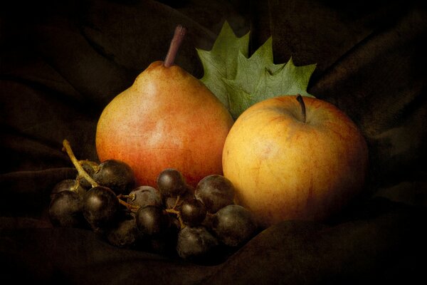 Naturaleza muerta de pera de manzana y uva