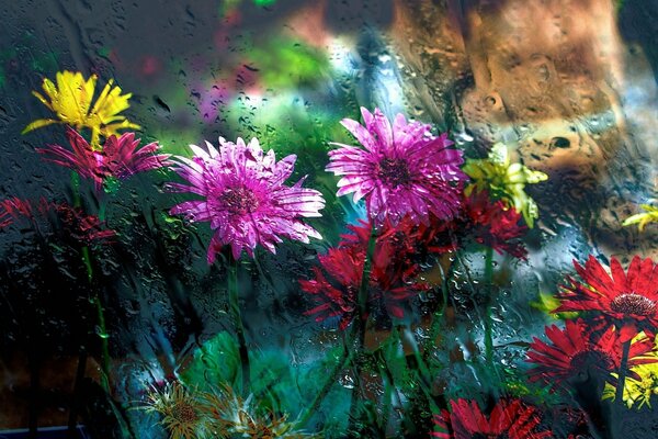 Flowers behind the glass blurred by water