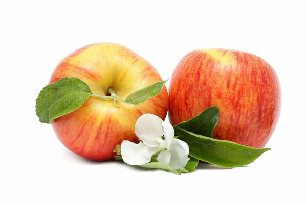 Red apples with leaves and flowers