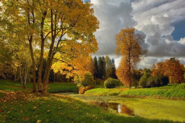 Paesaggio autunnale del fiume tra gli alberi