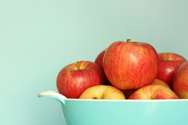 Red apples in a blue plate