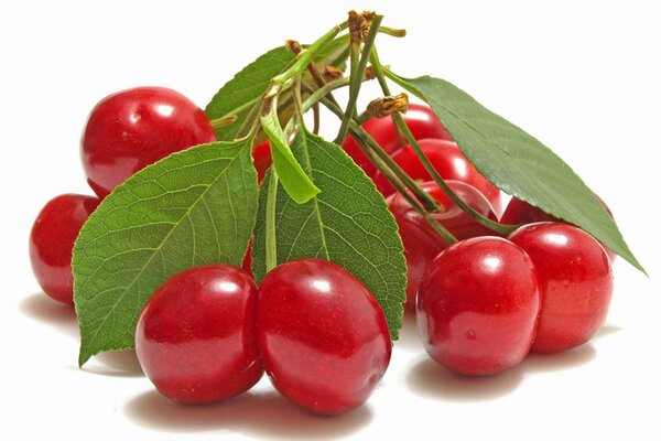 Photos of red berries, cherries