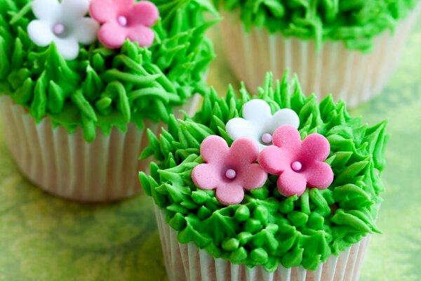 Cupcakes de crema para el postre en forma de flores y hierbas