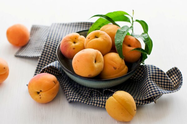 A bowl with apricots on a checkered napkin