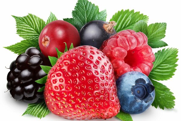 Strawberries, blackberries, raspberries, blueberries and currants