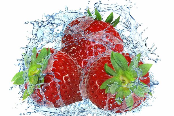 Fraises mûres dans les éclaboussures d eau