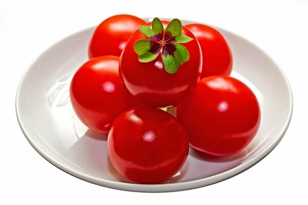 Sześć pomidorów w białym talerzu