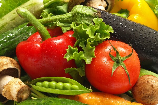 Juicy vegetables and mushrooms with water drops