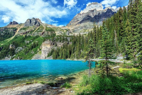 Montañas en el parque nacional de Canadá