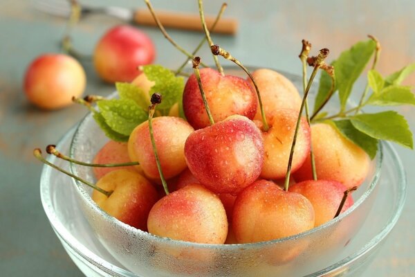 A healthy dessert. Ripe cherries